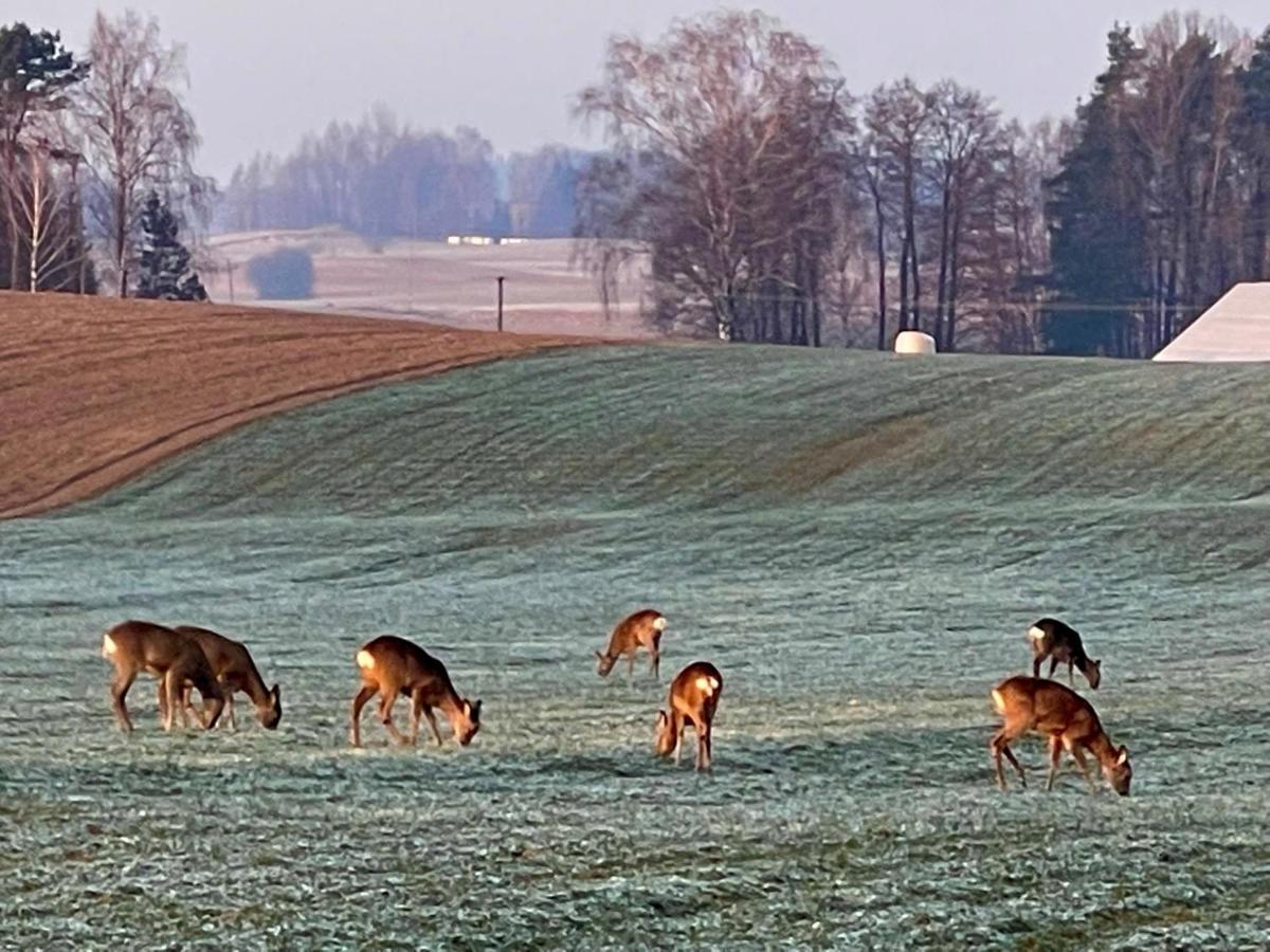Hotel Dolina Sarenek Sejny Esterno foto